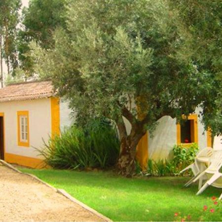 Quinta Do Pinhal Villa Constância Exteriör bild