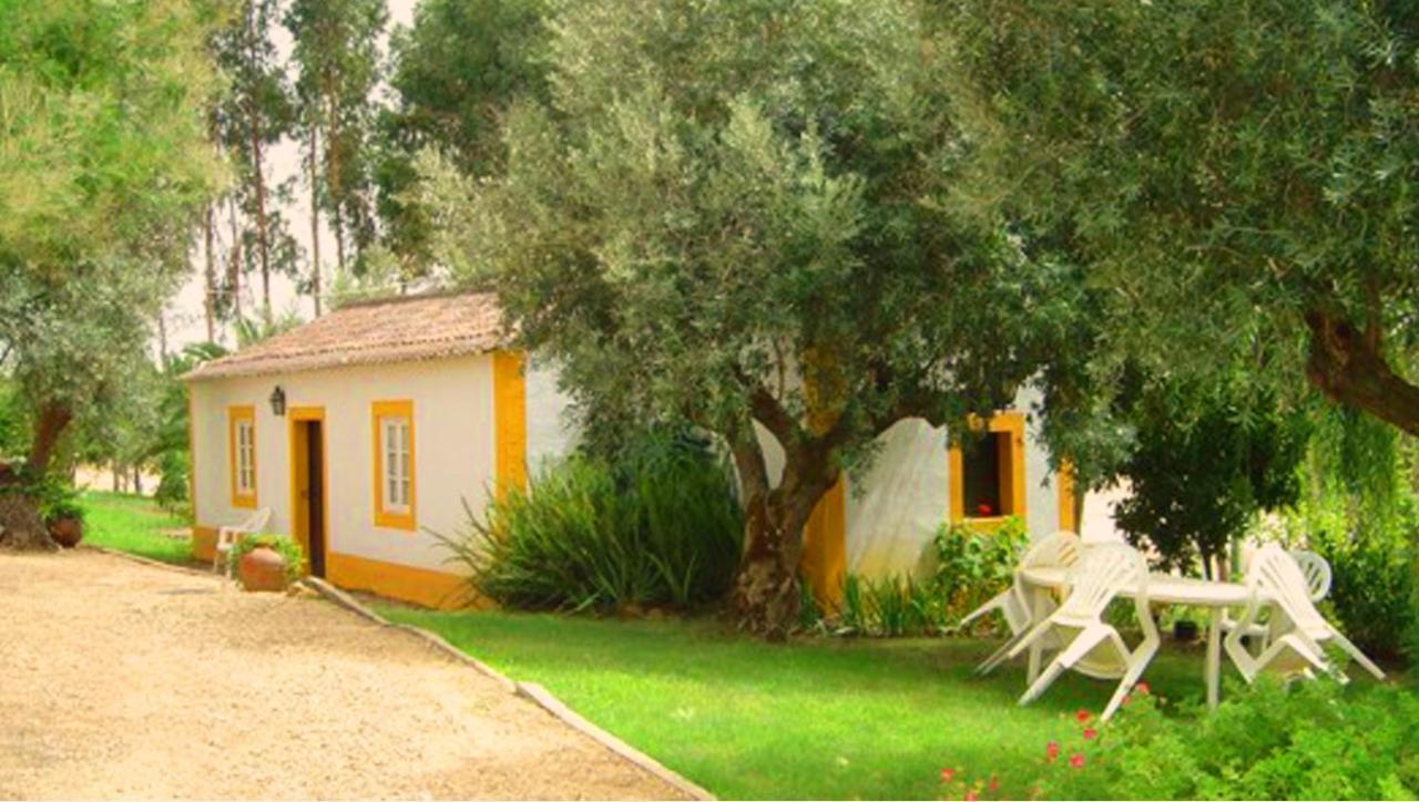 Quinta Do Pinhal Villa Constância Exteriör bild